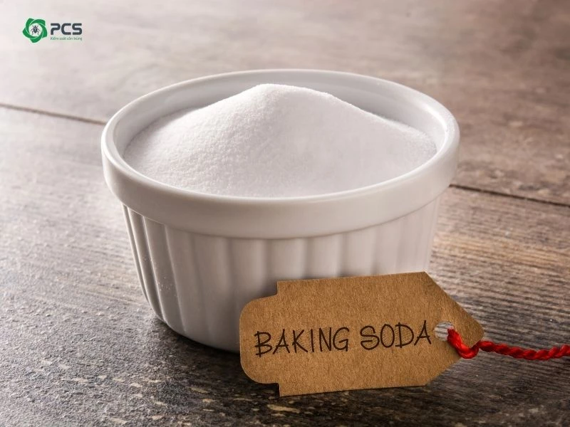 diệt gián bằng baking soda